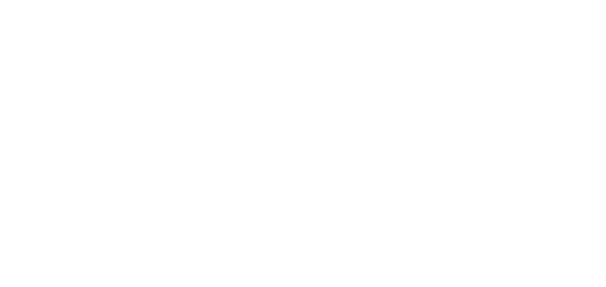Logo PZH